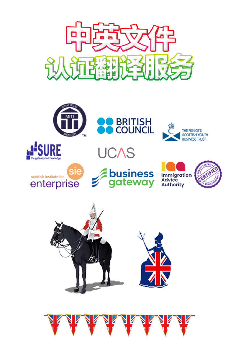 Professional team collaboration